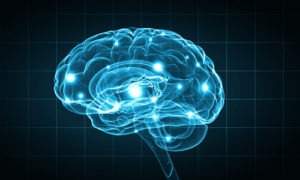 What Part Of The Brain Is Damaged In Locked In Syndrome?