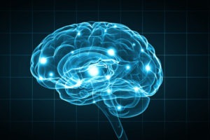 What Part Of The Brain Is Damaged In Locked In Syndrome?